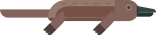 platypus