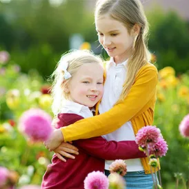 refer a friend